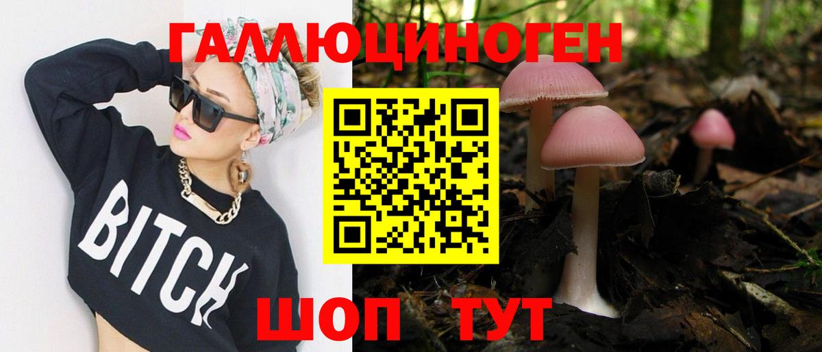 Галлюциногенные грибы Psilocybine cubensis  Псилоцибиновые грибы прущие грибы  дарнет шоп  Мелеуз  Вход с VPN 