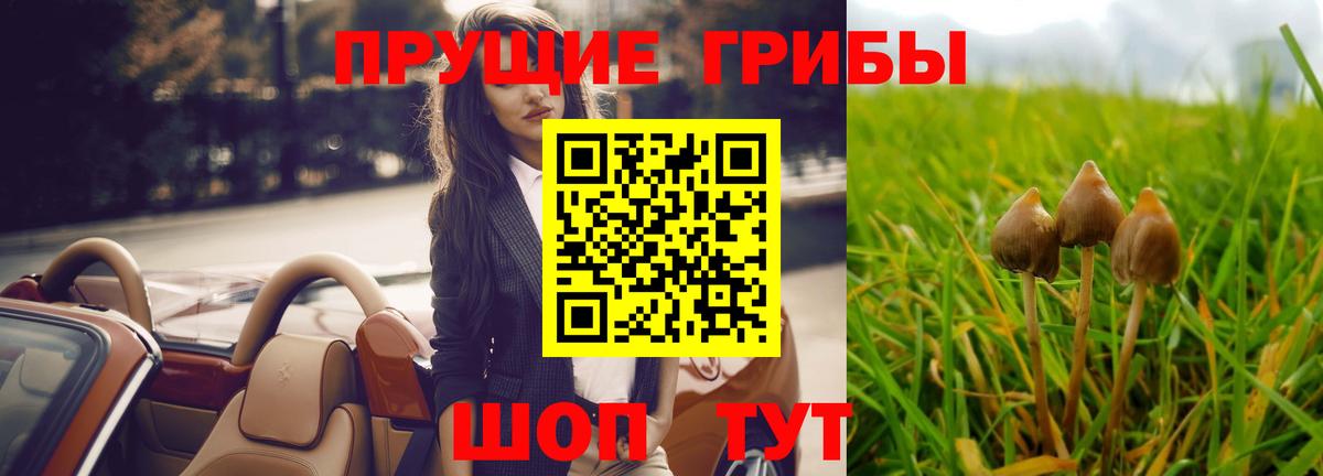 Каннабис Мелеуз